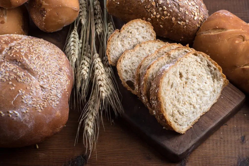 Should You Be Worried About Moldy Bread? Here’s What You Can  Do