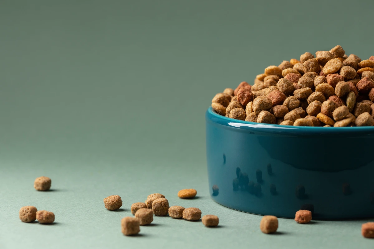 Feeding Your Cat: Organic Cat Food